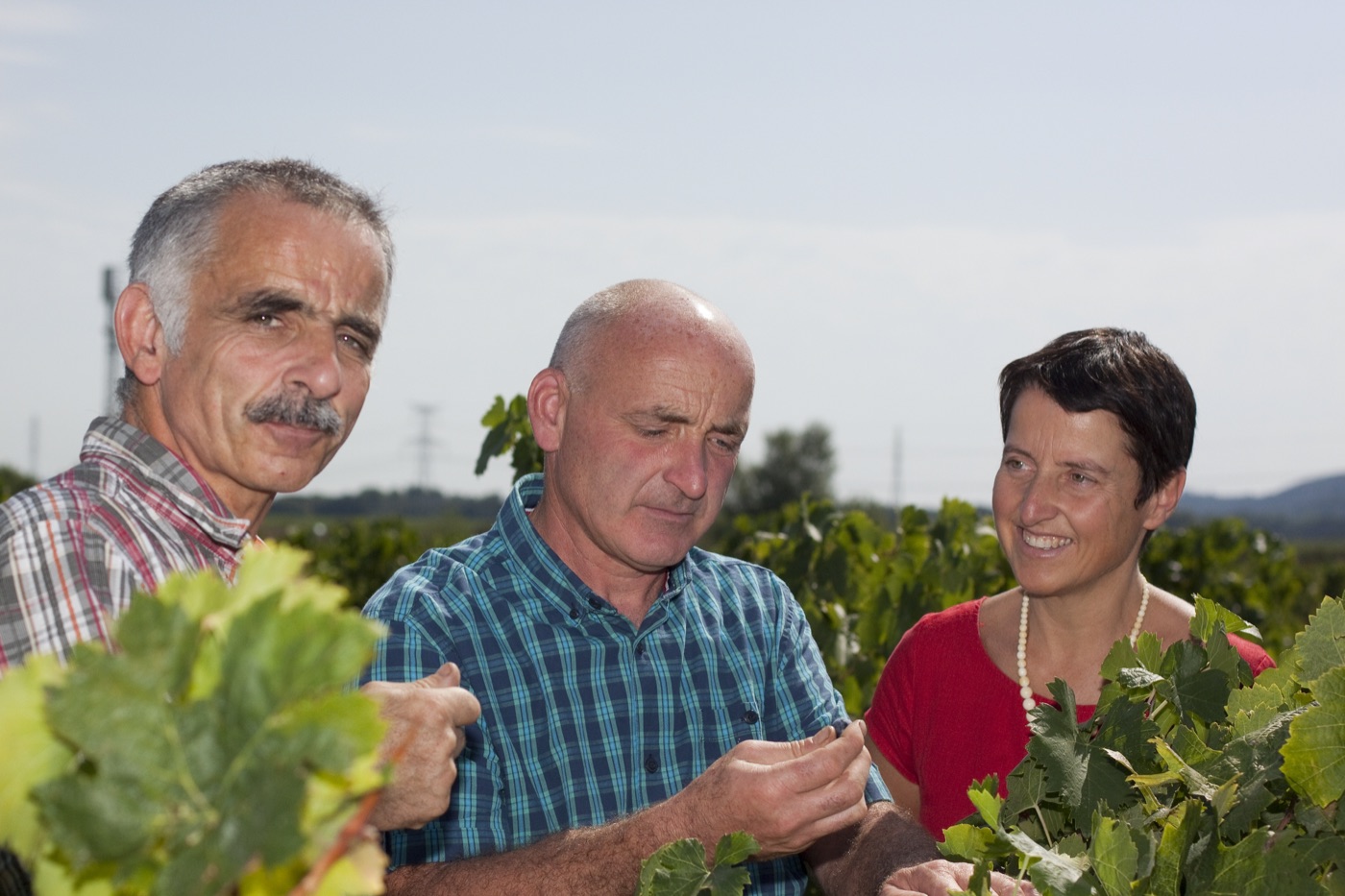 La famille Combe dans les vignes du domaine